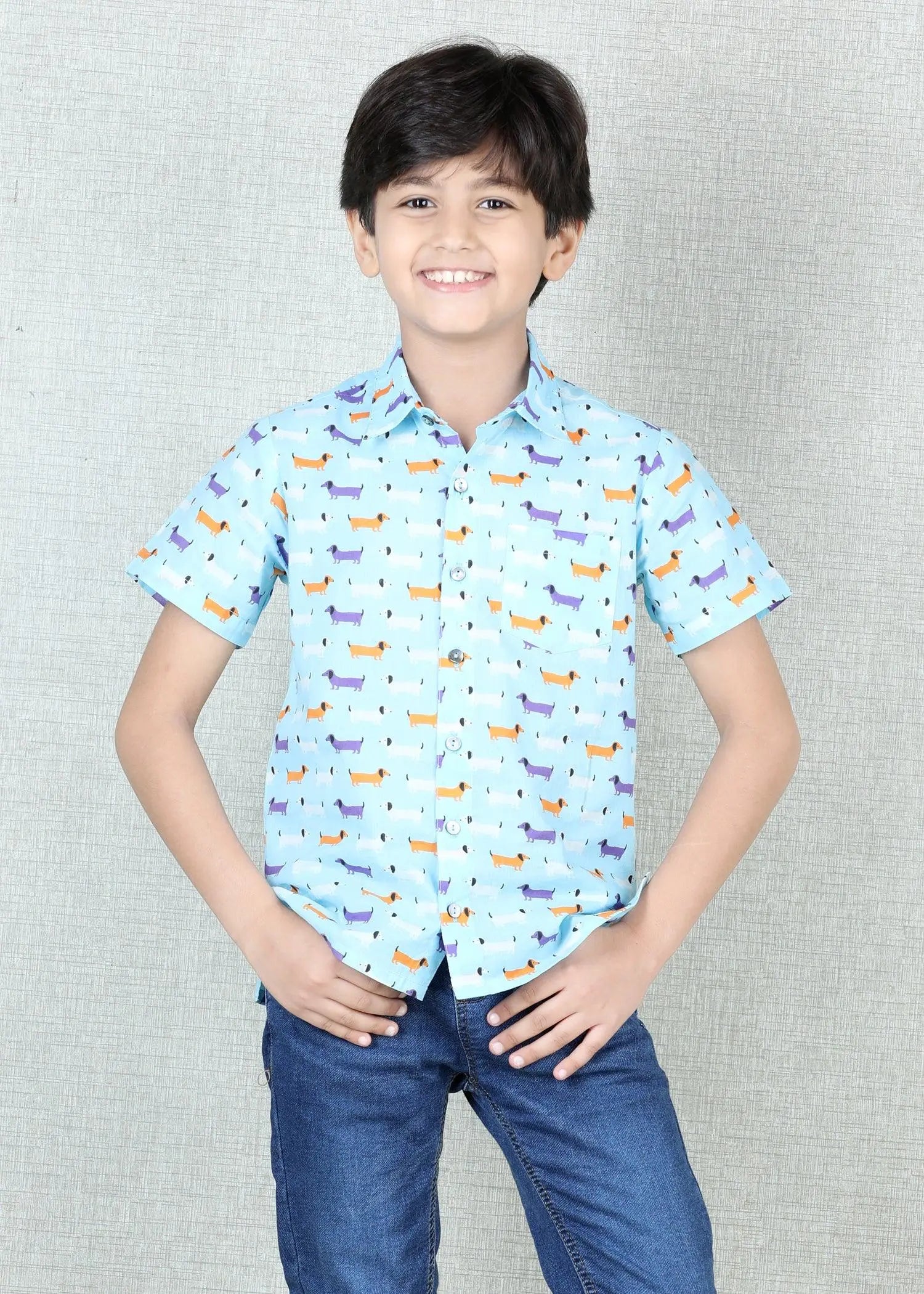 Dashound Sky Blue Cotton Half Sleeves Shirt (2-12 Years)