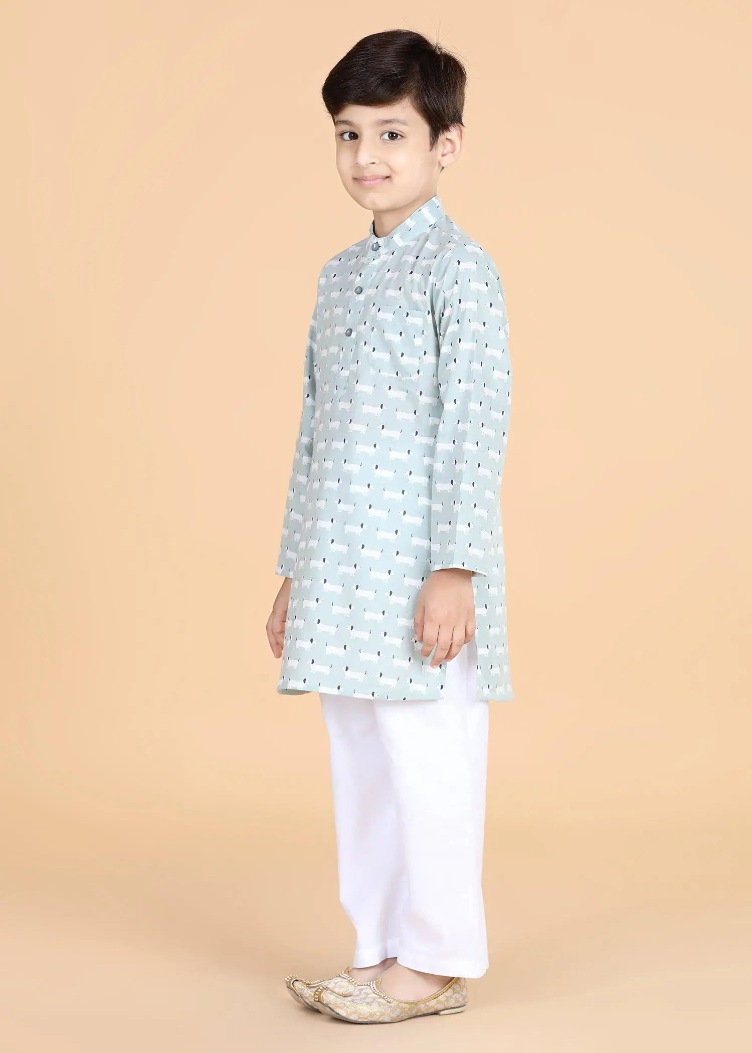 Dachshund Grey Cotton Kurta Boys (2-12 Yrs)