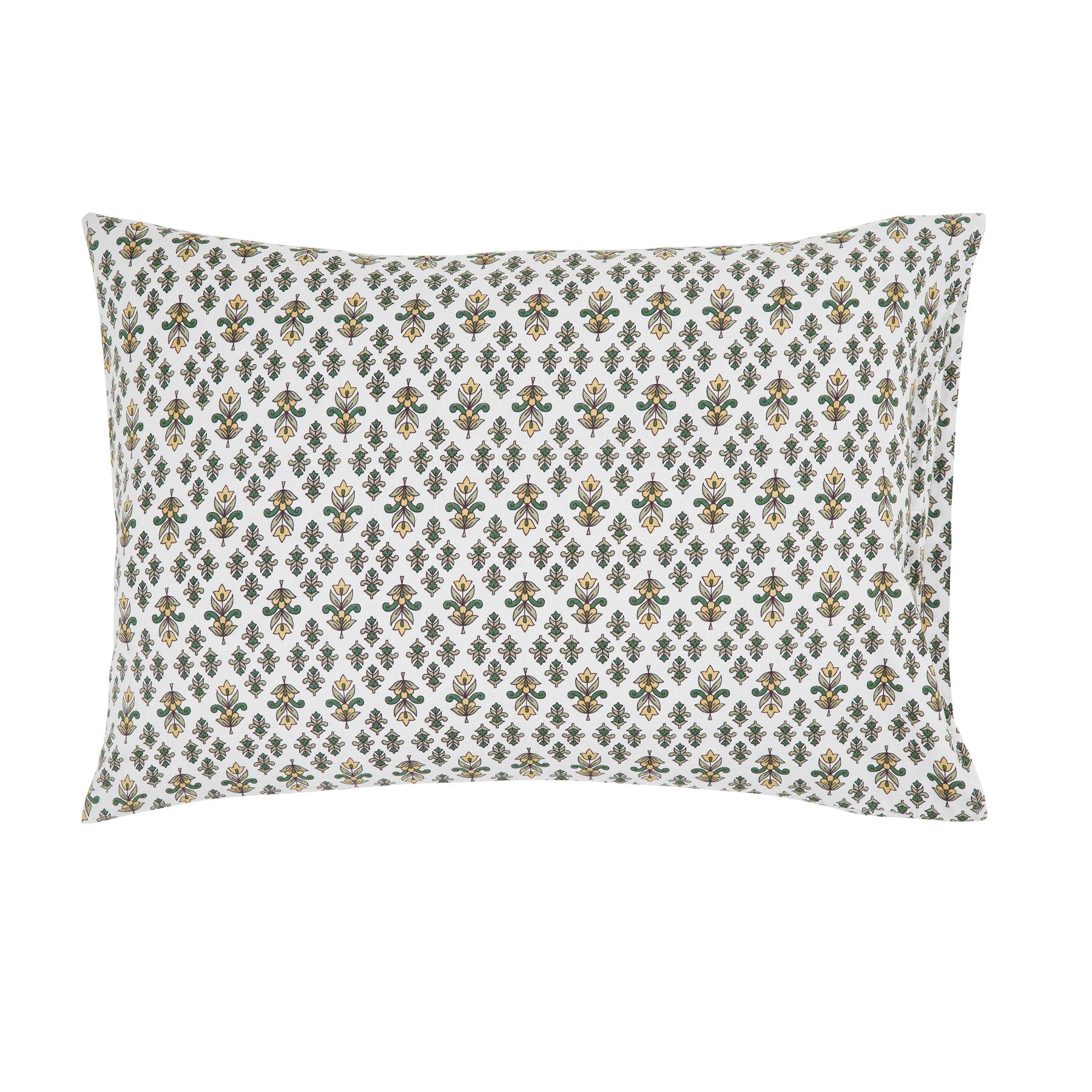 Paisley Green & Beige Cotton Pillow Cover Set of 2